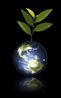 Earth globe with plant growing from surface