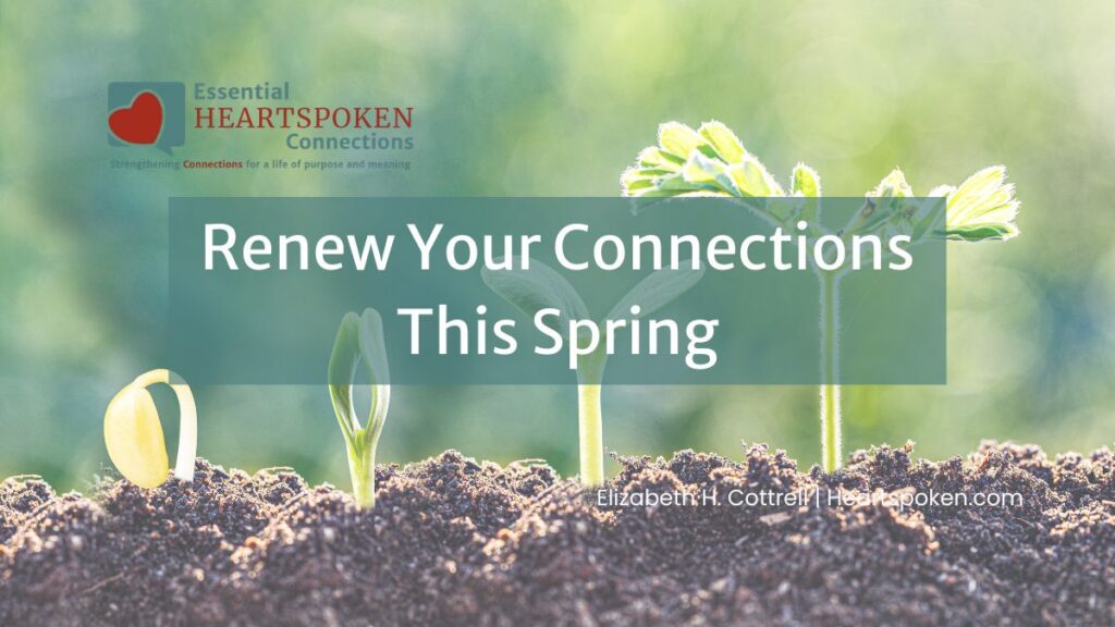 Sprouts growing from the ground with newsletter logo, post title, and author. Spring Connection Tips