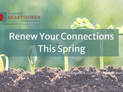 Sprouts growing from the ground with newsletter logo, post title, and author. Spring Connection Tips