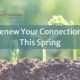 Sprouts growing from the ground with newsletter logo, post title, and author. Spring Connection Tips