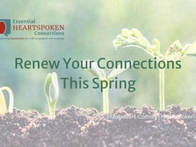 Sprouts growing from the ground with newsletter logo, post title, and author. Spring Connection Tips